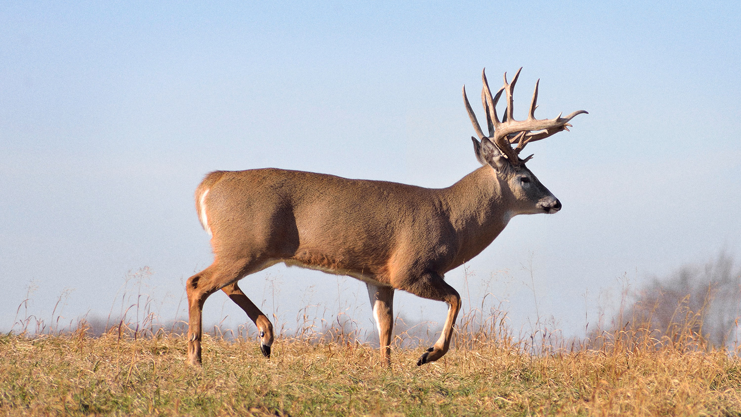 Oklahoma Deer Hunt, Travel Day An Official Journal Of The NRA