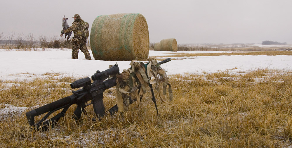 Hunter in field with rifle